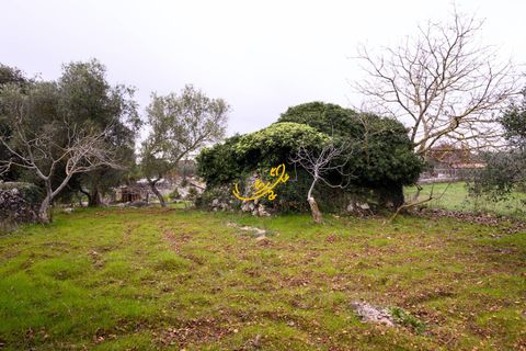 Landejendom i Noci, Bari, Noci - € 30.000 | Ref: R 563 - foto 12