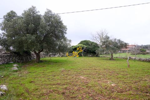 Landejendom i Noci, Bari, Noci - € 30.000 | Ref: R 563 - foto 13