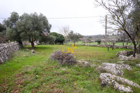 Landejendom i Noci, Bari, Noci - € 30.000 | Ref: R 563 - foto 14