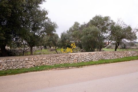 Landejendom i Noci, Bari, Noci - € 30.000 | Ref: R 563 - foto 15