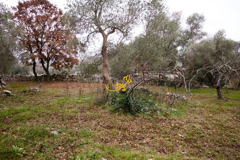 Landejendom i Noci, Bari, Noci - € 40.000 | Ref: R 564 - foto 11