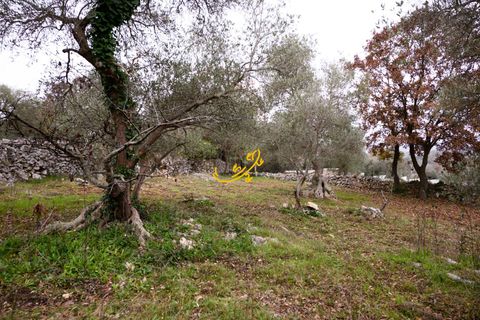 Landejendom i Noci, Bari, Noci - € 40.000 | Ref: R 564 - foto 12
