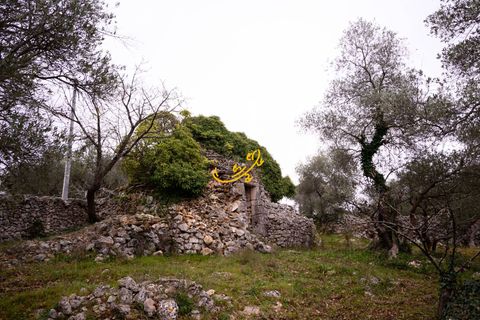Landejendom i Noci, Bari, Noci - € 40.000 | Ref: R 564 - foto 13