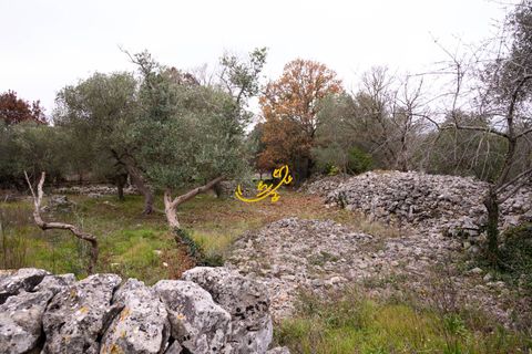 Landejendom i Noci, Bari, Noci - € 40.000 | Ref: R 564 - foto 15
