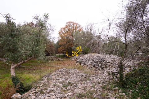 Landejendom i Noci, Bari, Noci - € 40.000 | Ref: R 564 - foto 16