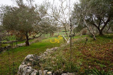 Landejendom i Noci, Bari, Noci - € 50.000 | Ref: R 565 - foto 20