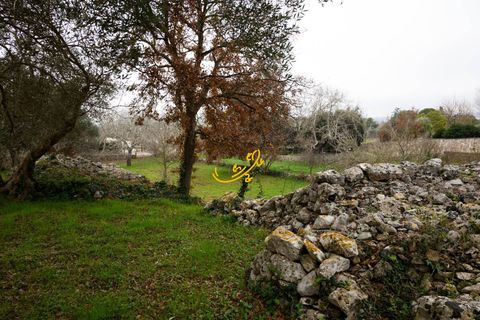 Landejendom i Noci, Bari, Noci - € 50.000 | Ref: R 565 - foto 21