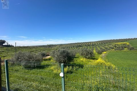 Villa a Alandroal, Evora, Alandroal - € 350.000 | Ref: CAS_171 - foto 26