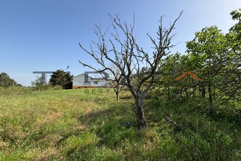 Villa a Cartaxo, Santarem, Cartaxo - € 309.000 | Ref: 3240-A - foto 25