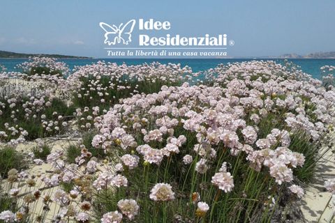 Lejlighed i Palau, Sassari, Palau - € 229.000 | Ref: palau bilo v.marino - foto 23