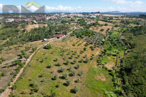 Helårsgrund i Castelo Branco, Castelo Branco, Castelo Branco - € 18.750 | Ref: 5052 - foto 4
