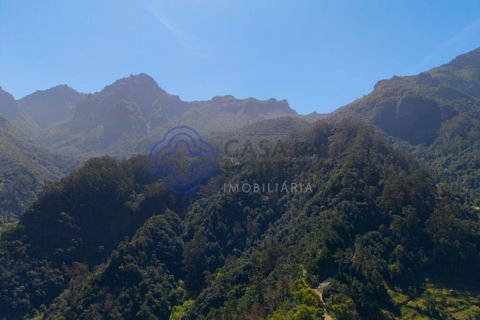 Byhus i Sao Vincente, Madeira, Sao Vincente - € 295.000 | Ref: 1128681 - foto 45