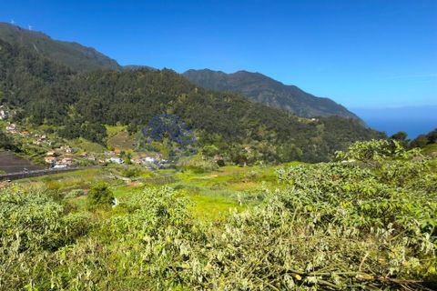 Byhus i Sao Vincente, Madeira, Sao Vincente - € 295.000 | Ref: 1128681 - foto 50