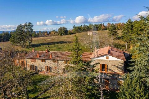 Farm hus i Loro Ciuffenna, Arezzo, Loro Ciuffenna - € 1.180.000 | Ref: A1190RC83615-1155732 - foto 3