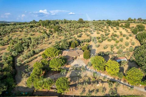 Villa i Cortona, Arezzo, Cortona - € 478.000 | Ref: A1190RV75647-1155771 - foto 5