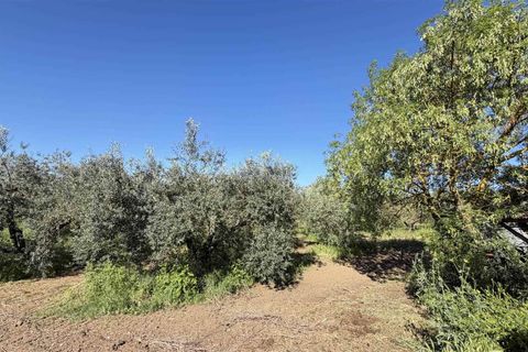 Villa a Campagnatico, Grosseto, Campagnatico - € 850.000 | Ref: A11201RV46421-1156281 - foto 2