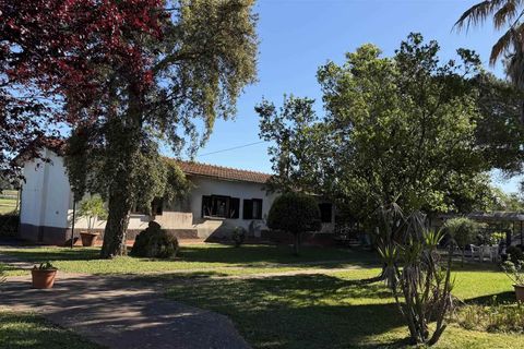 Villa a Campagnatico, Grosseto, Campagnatico - € 850.000 | Ref: A11201RV46421-1156281 - foto 3