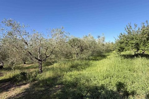 Villa a Campagnatico, Grosseto, Campagnatico - € 850.000 | Ref: A11201RV46421-1156281 - foto 11