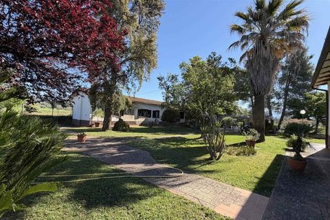 Villa a Campagnatico, Grosseto, Campagnatico - € 850.000 | Ref: A11201RV46421-1156281 - foto 15