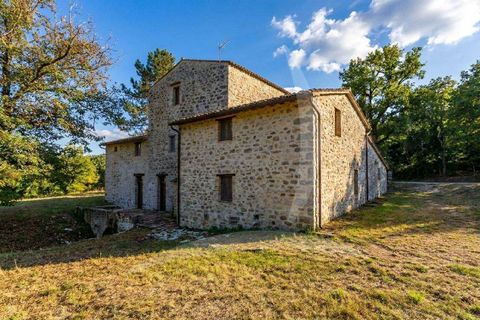 Farm hus i Todi, Perugia, Todi - € 1.285.000 | Ref: A1190RC24476-1156749 - foto 13