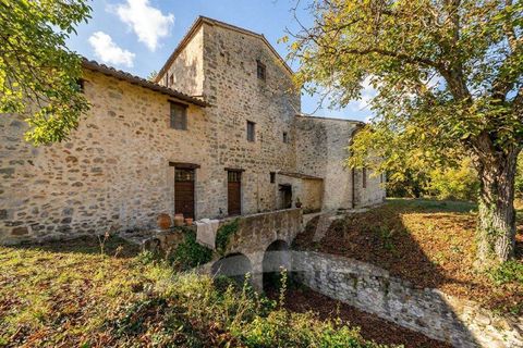 Farm hus i Todi, Perugia, Todi - € 1.285.000 | Ref: A1190RC24476-1156749 - foto 14