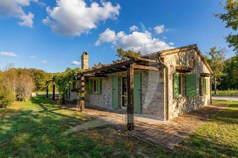 Farm hus i Todi, Perugia, Todi - € 1.285.000 | Ref: A1190RC24476-1156749 - foto 20