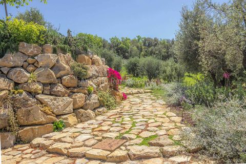 Villa a Bolgheri, Livorno, Bolgheri - € 6.350.000 | Ref: R50-1156885 - foto 5