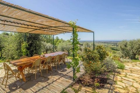 Villa a Bolgheri, Livorno, Bolgheri - € 6.350.000 | Ref: R50-1156885 - foto 7