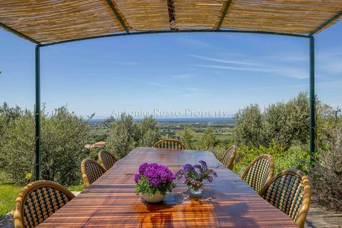 Villa a Bolgheri, Livorno, Bolgheri - € 6.350.000 | Ref: R50-1156885 - foto 8