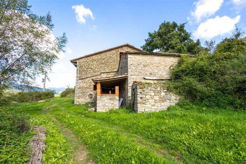 Farm hus i Chiusi della Verna, Arezzo, Chiusi della Verna - € 1.249.000 | Ref: P176-1157212 - foto 10