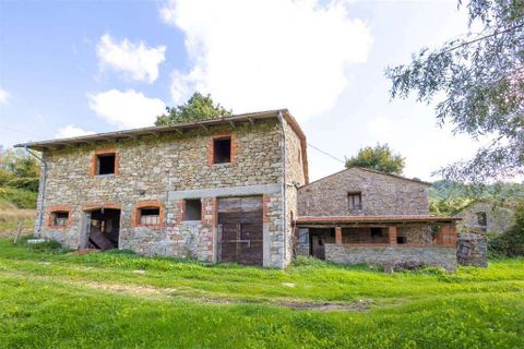 Farm hus i Chiusi della Verna, Arezzo, Chiusi della Verna - € 1.249.000 | Ref: P176-1157212 - foto 11