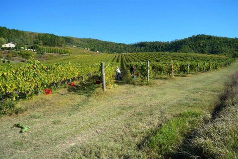 Farm hus i Pontassieve, Florence, Pontassieve - € 1.200.000 | Ref: P154A-1157317 - foto 2