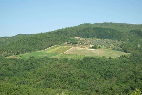 Farm hus i Pontassieve, Florence, Pontassieve - € 1.200.000 | Ref: P154A-1157317 - foto 4