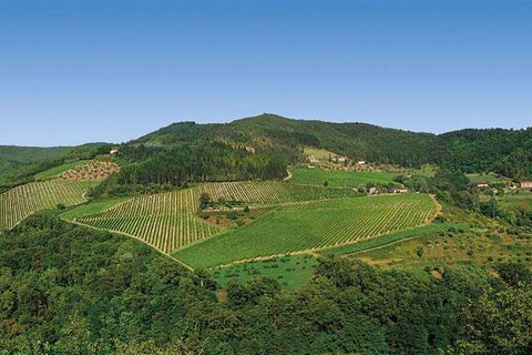 Farm hus i Pontassieve, Florence, Pontassieve - € 1.200.000 | Ref: P154A-1157317 - foto 6