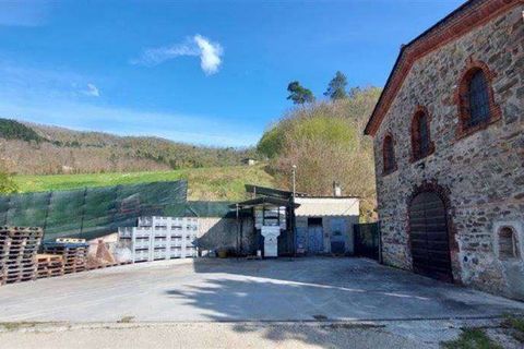 Farm hus i Pontassieve, Florence, Pontassieve - € 1.200.000 | Ref: P154A-1157317 - foto 14