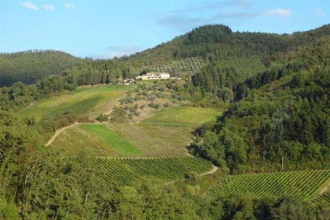 Farm hus i Rufina, Florence, Rufina - € 4.300.000 | Ref: P154-1157396 - foto 15