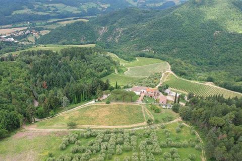 Farm hus i Rufina, Florence, Rufina - € 4.300.000 | Ref: P154-1157396 - foto 19