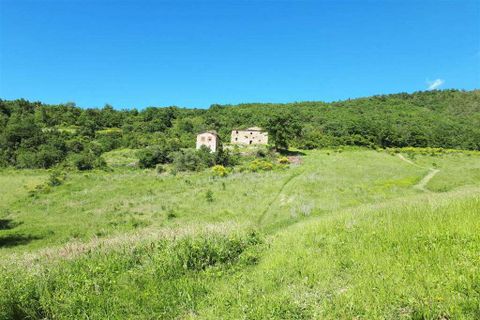 Farm hus i Rufina, Florence, Rufina - € 4.300.000 | Ref: P154-1157396 - foto 21