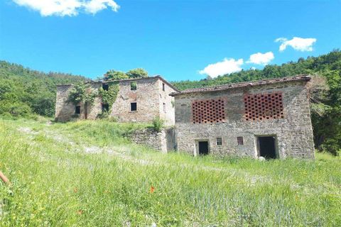 Farm hus i Rufina, Florence, Rufina - € 4.300.000 | Ref: P154-1157396 - foto 22