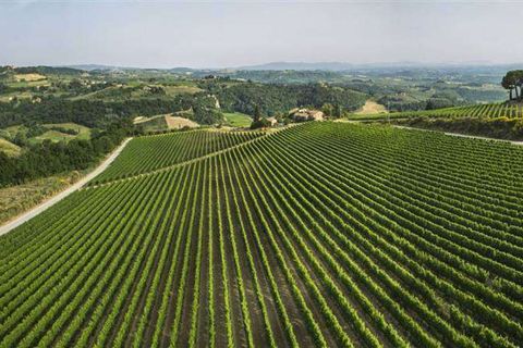 Farm hus i Certaldo, Florence, Certaldo - € 1.950.000 | Ref: P153-1157433 - foto 9