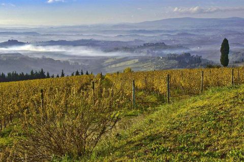 Farm hus i Certaldo, Florence, Certaldo - € 1.950.000 | Ref: P153-1157433 - foto 16