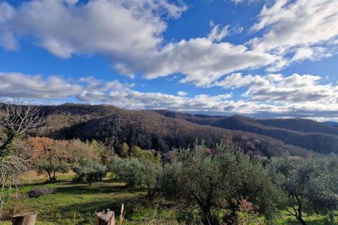 Farm hus i Monteriggioni, Siena, Monteriggioni - € 1.600.000 | Ref: C362-1157638 - foto 6