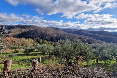 Farm hus i Monteriggioni, Siena, Monteriggioni - € 1.600.000 | Ref: C362-1157638 - foto 8