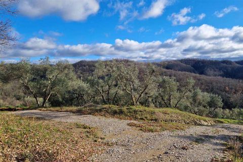 Farm hus i Monteriggioni, Siena, Monteriggioni - € 1.600.000 | Ref: C362-1157638 - foto 19