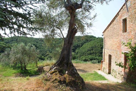 Farm hus i Monteriggioni, Siena, Monteriggioni - € 1.600.000 | Ref: C362-1157638 - foto 23