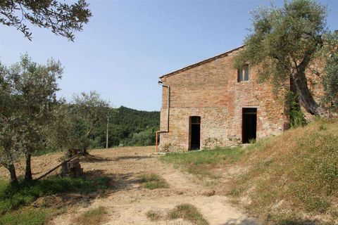 Farm hus i Monteriggioni, Siena, Monteriggioni - € 1.600.000 | Ref: C362-1157638 - foto 27