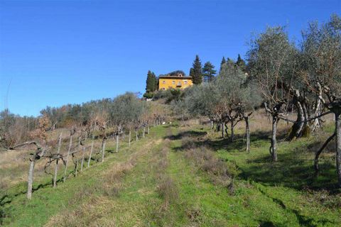 Farm hus i Rufina, Florence, Rufina - € 319.000 | Ref: C162-1157697 - foto 2