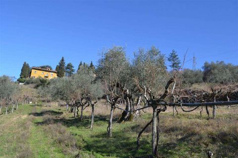 Farm hus i Rufina, Florence, Rufina - € 319.000 | Ref: C162-1157697 - foto 4