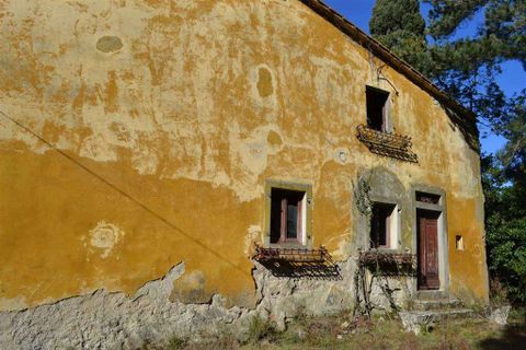 Farm hus i Rufina, Florence, Rufina - € 319.000 | Ref: C162-1157697 - foto 6