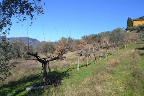 Farm hus i Rufina, Florence, Rufina - € 319.000 | Ref: C162-1157697 - foto 9